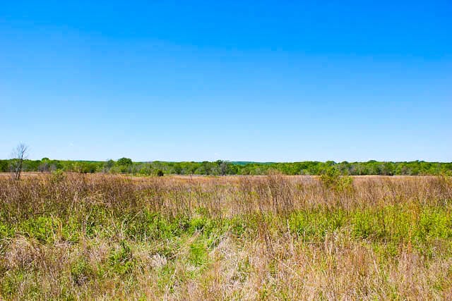 Saddlebrook Ranch Tract 8 photo 4