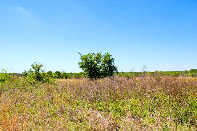 Saddlebrook Ranch Tract 8 photo 5