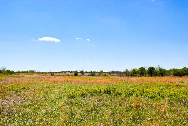 Saddlebrook Ranch Tract 8 photo 6