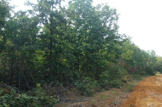 Sugartree Falls Tract 10 photo 2