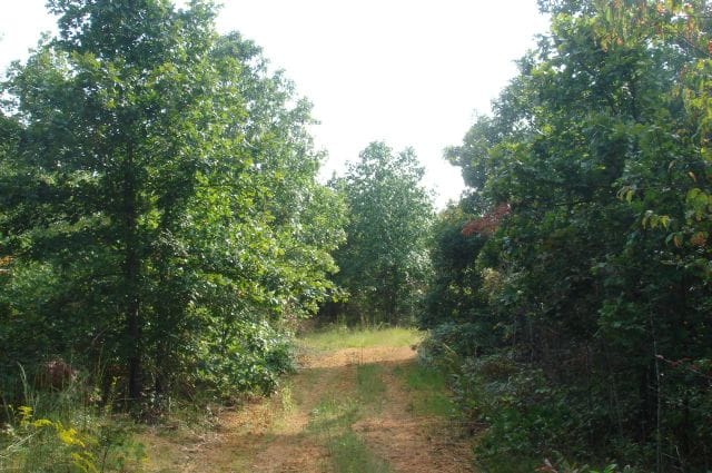 Sugartree Falls Tract 10 photo 1
