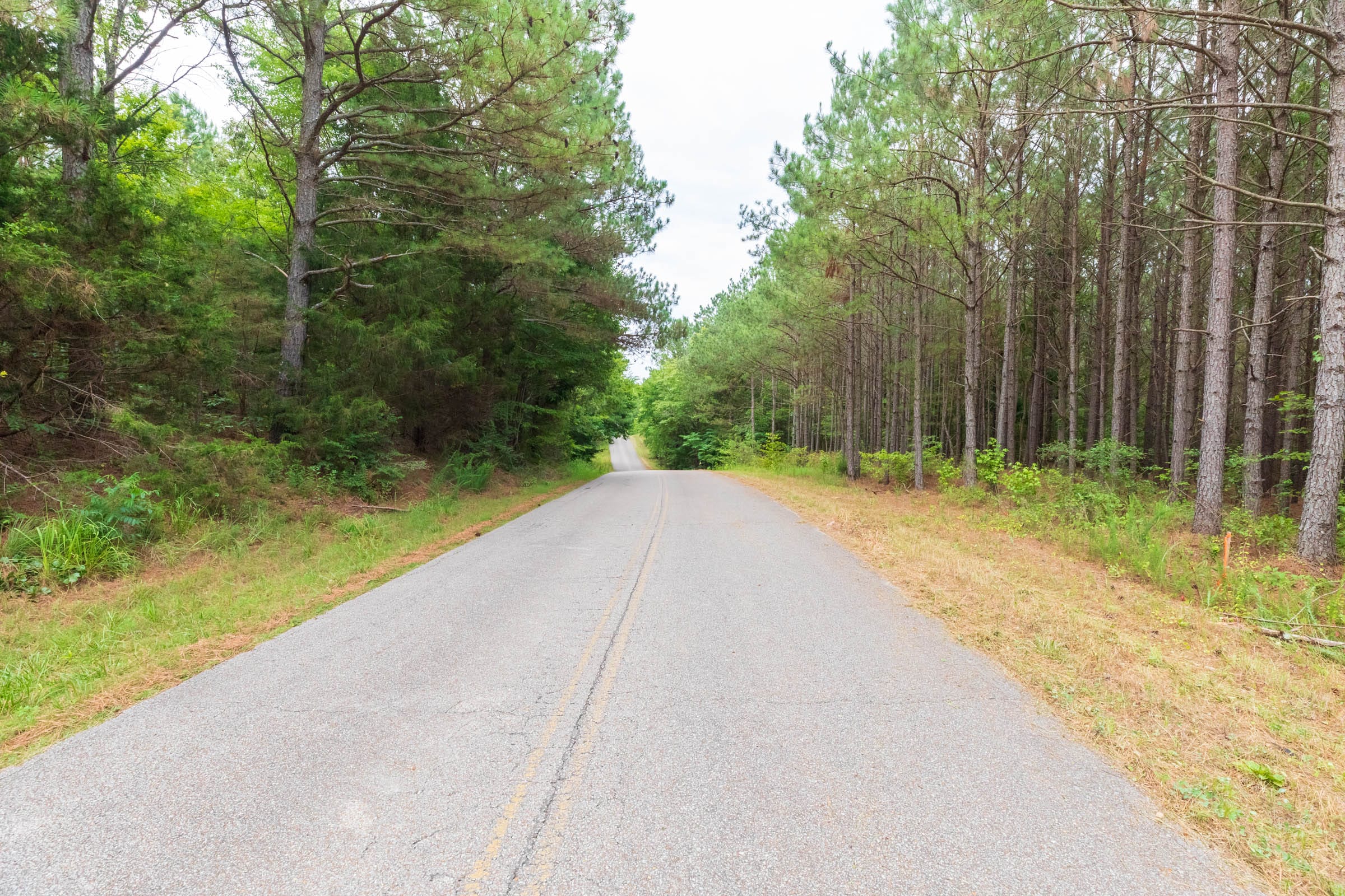 Whiskey Ridge Tract 40 photo 5