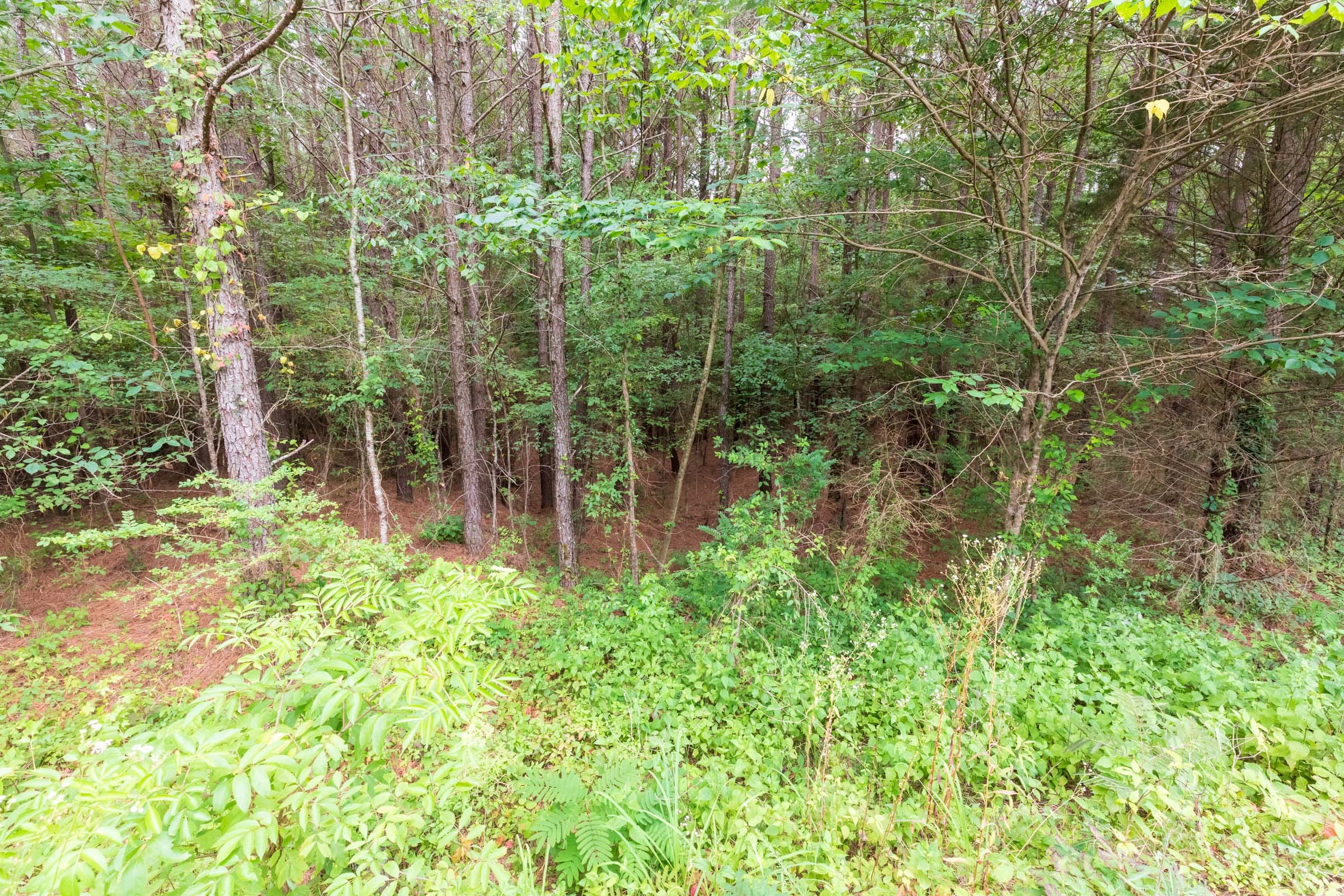 Whiskey Ridge Tract 40 photo 3