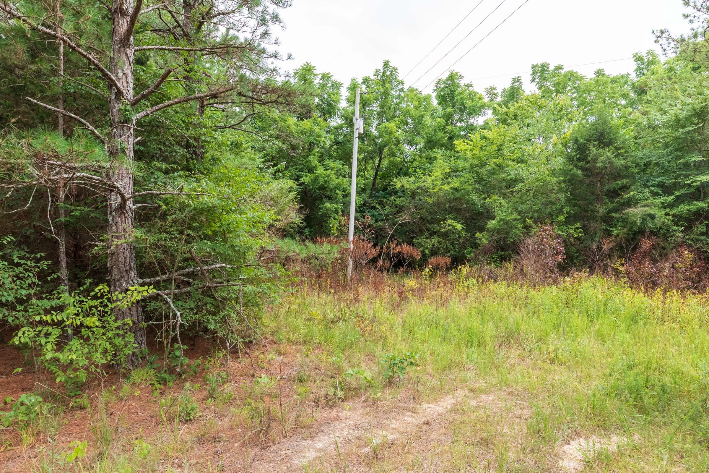 Whiskey Ridge Tract 40 photo 10