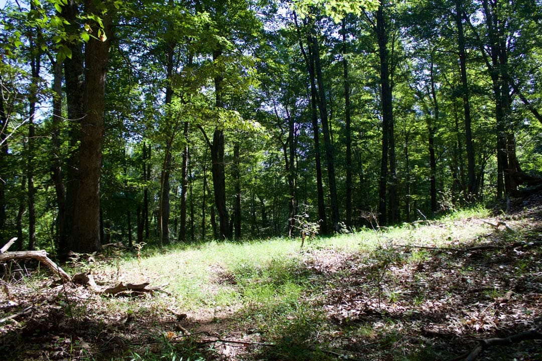 Heritage Hollow Tract 10 photo 2