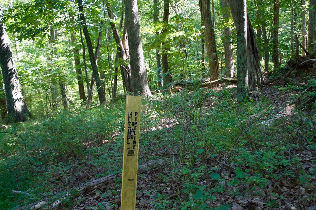 Heritage Hollow Tract 10 photo 4