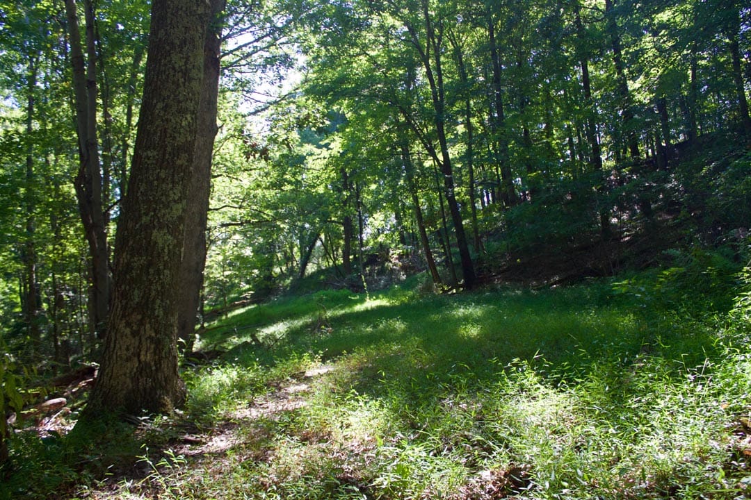 Heritage Hollow Tract 10 photo 10