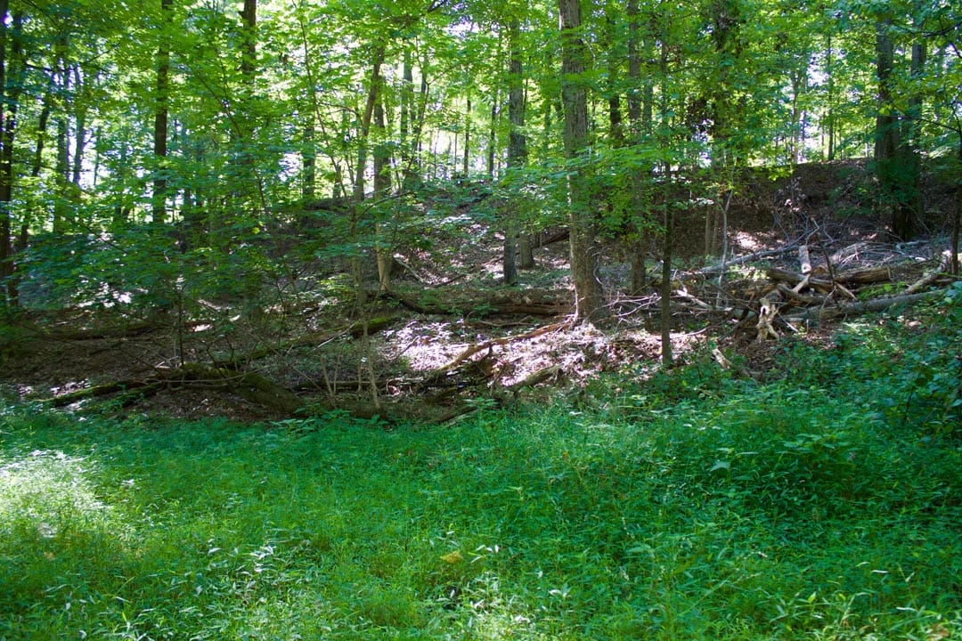 Heritage Hollow Tract 10 photo 11