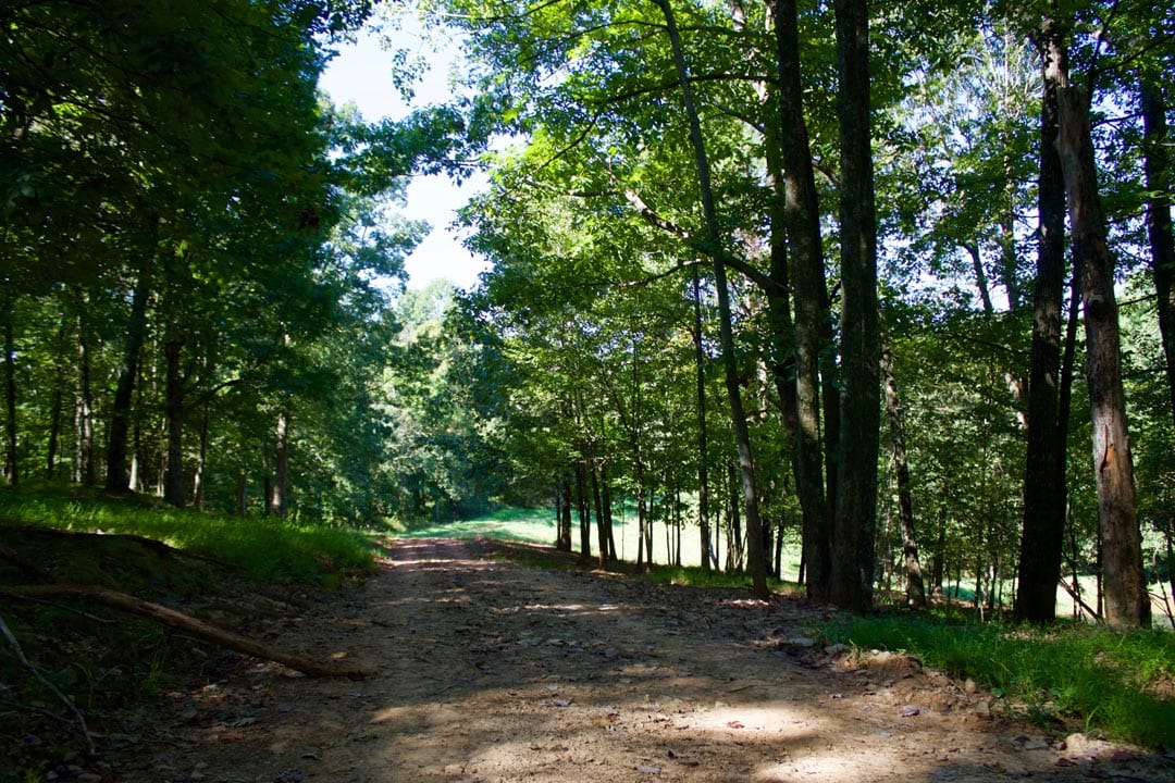 Heritage Hollow Tract 10 photo 15