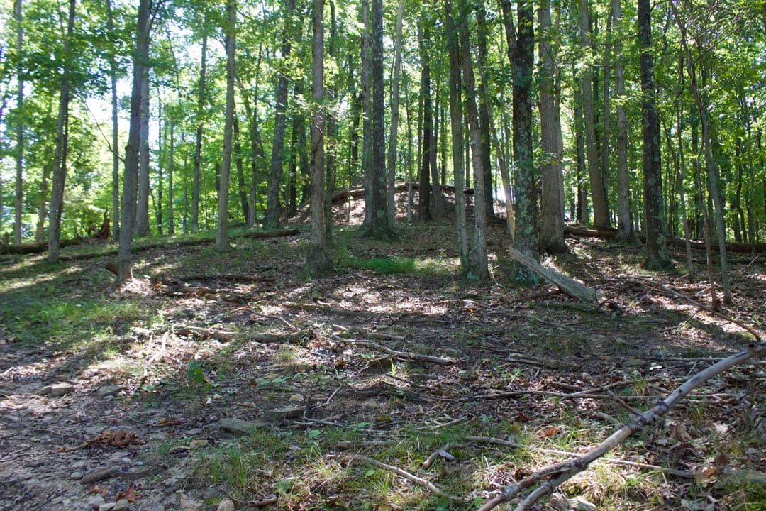 Heritage Hollow Tract 10 photo 16