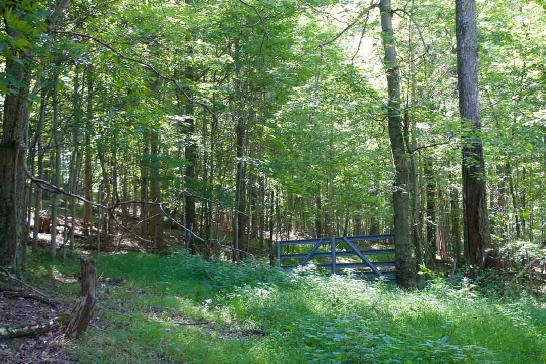 Heritage Hollow Tract 10 photo 17