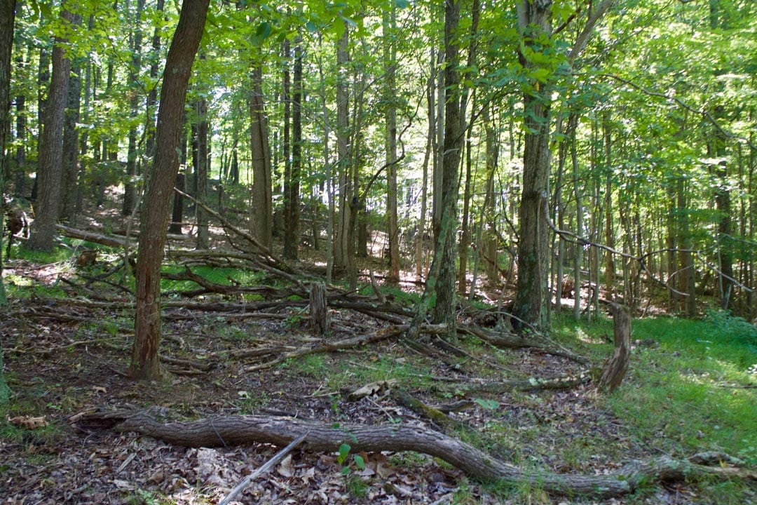 Heritage Hollow Tract 10 photo 18