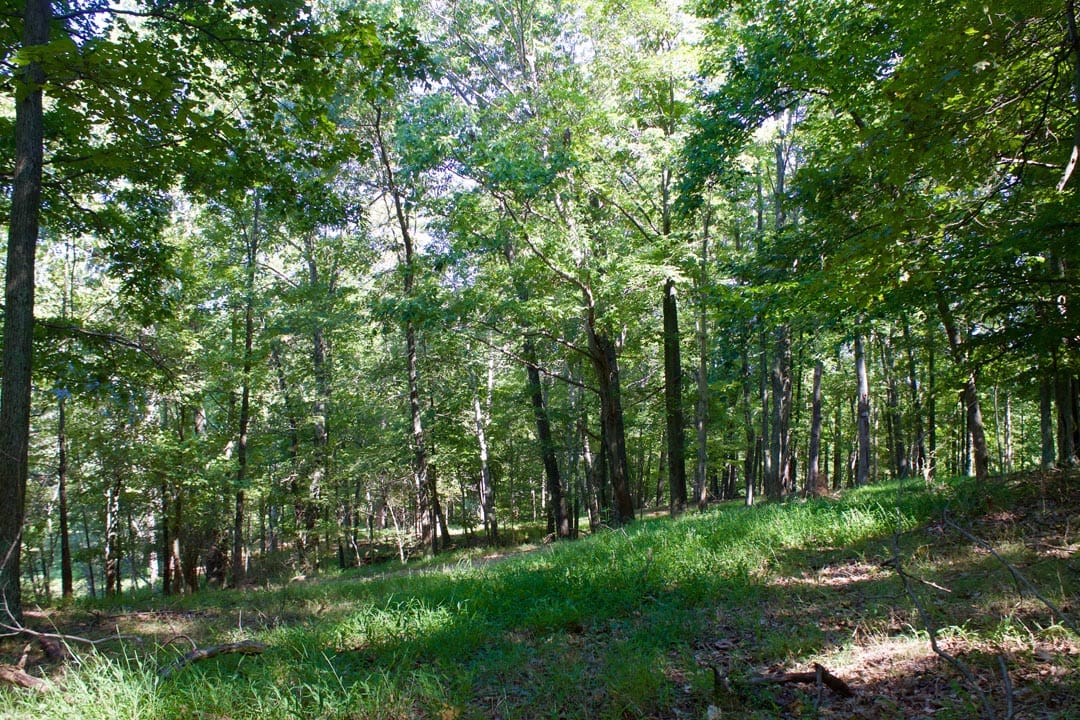Heritage Hollow Tract 10 photo 20