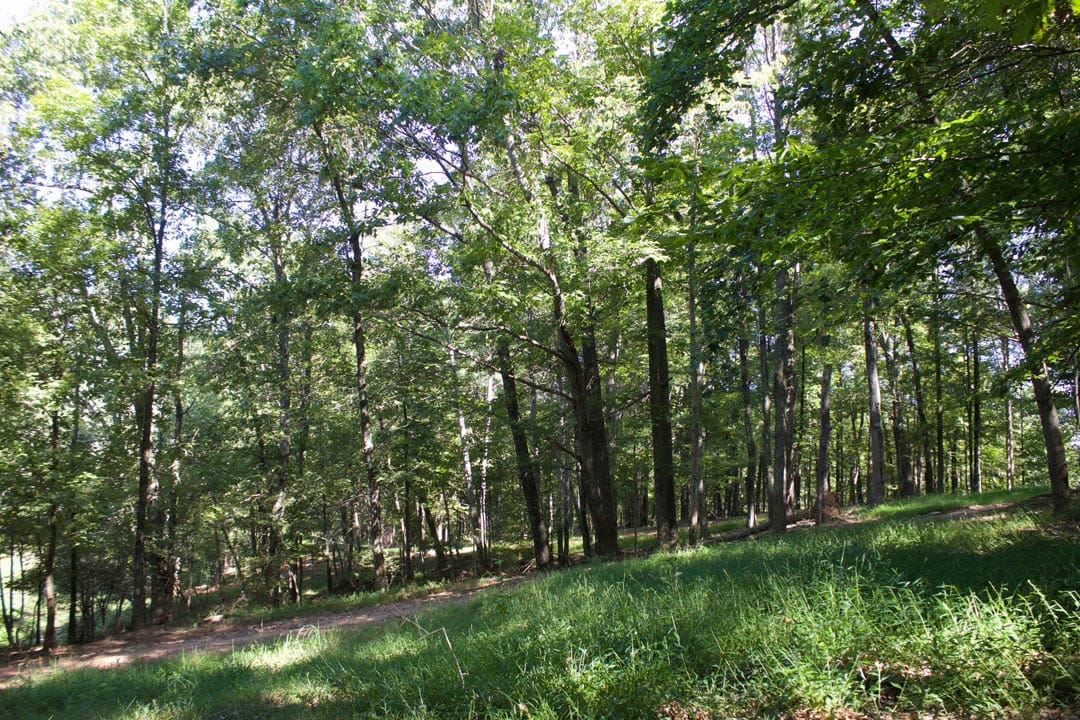 Heritage Hollow Tract 10 photo 21