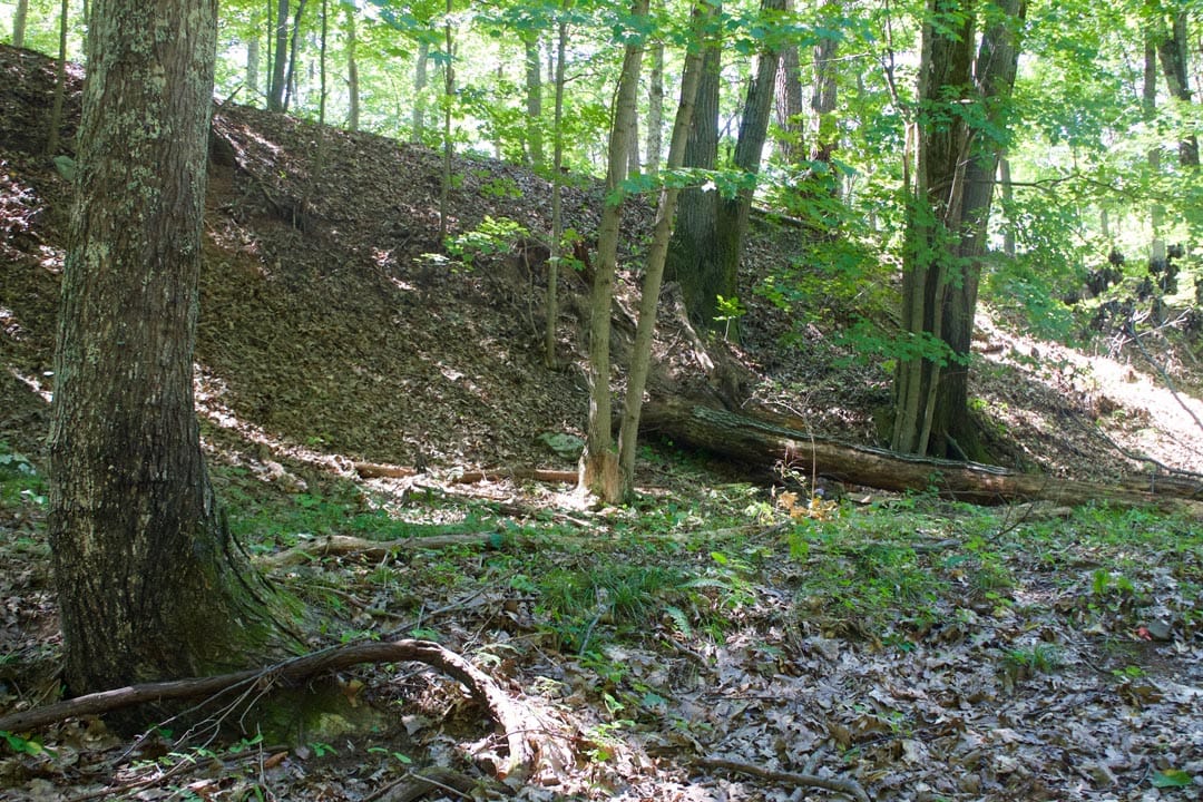 Heritage Hollow Tract 10 photo 22