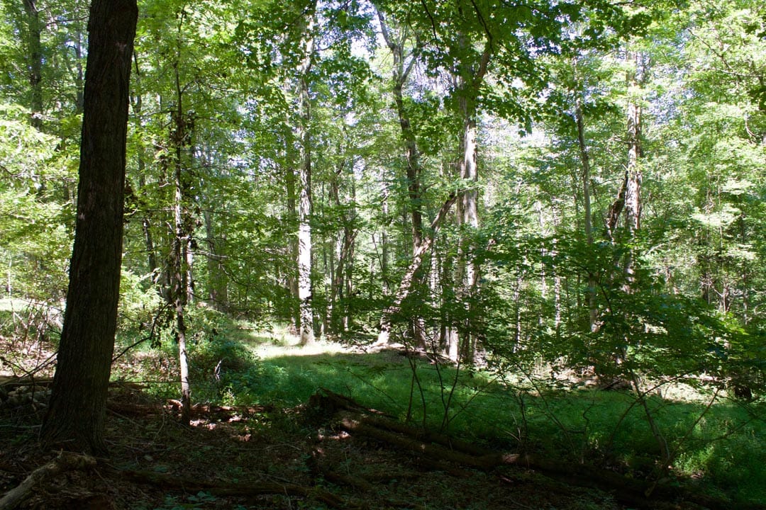 Heritage Hollow Tract 10 photo 23