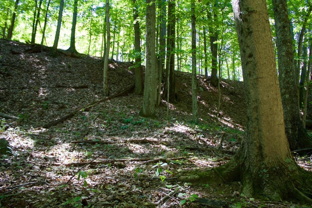 Heritage Hollow Tract 10 photo 24