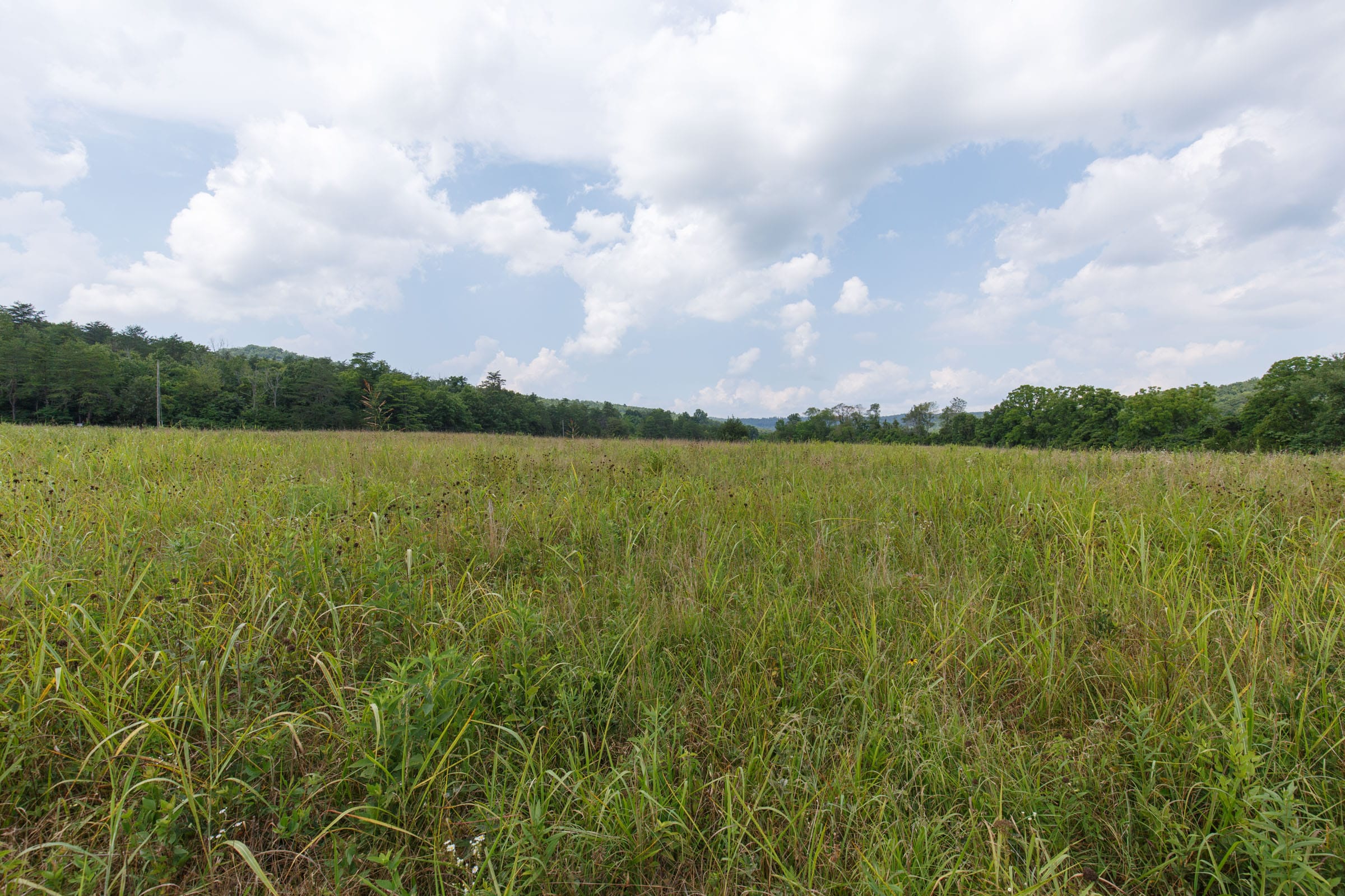 Rolling Hills Tract 25 photo 3