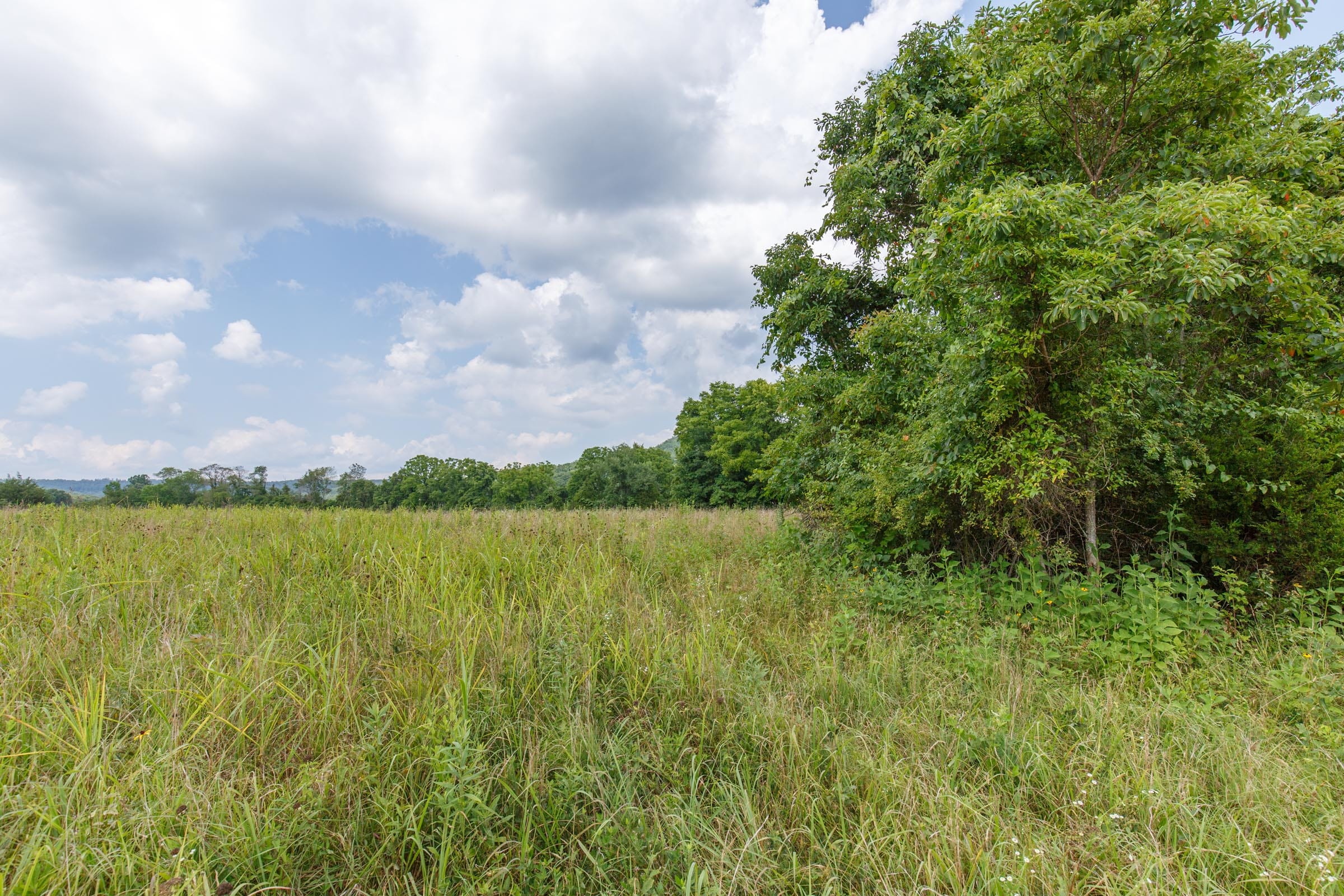 Rolling Hills Tract 25 photo 5