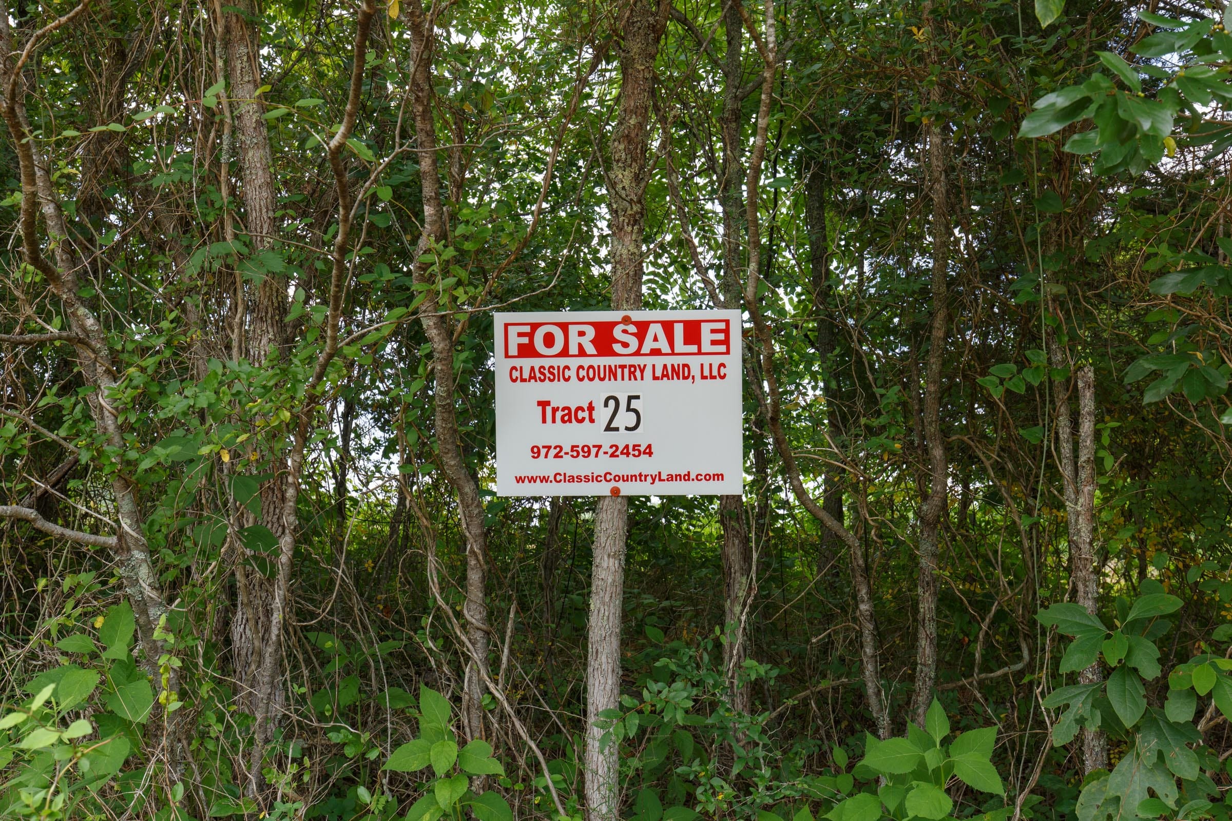 Rolling Hills Tract 25 photo 1