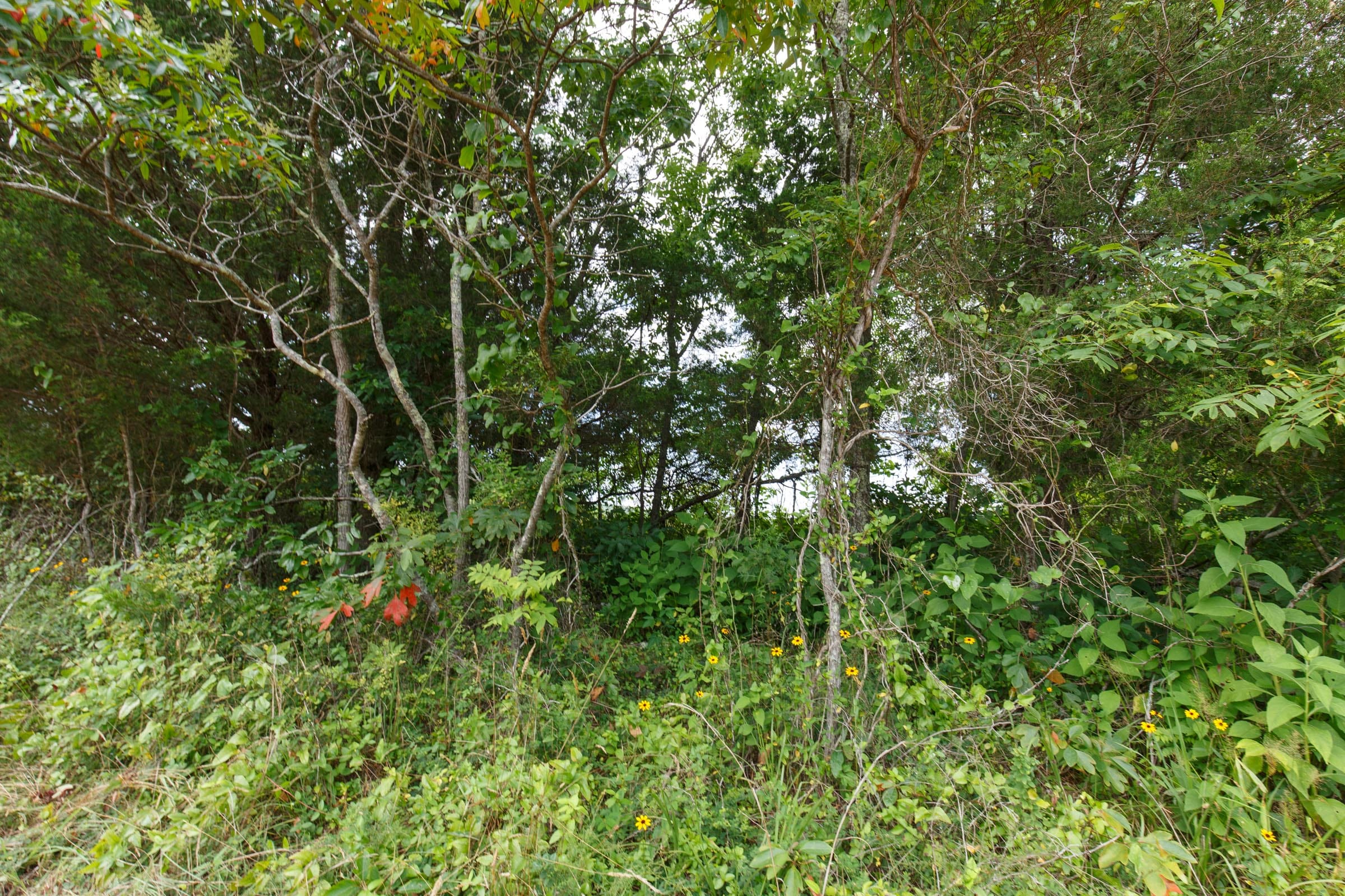 Rolling Hills Tract 25 photo 7