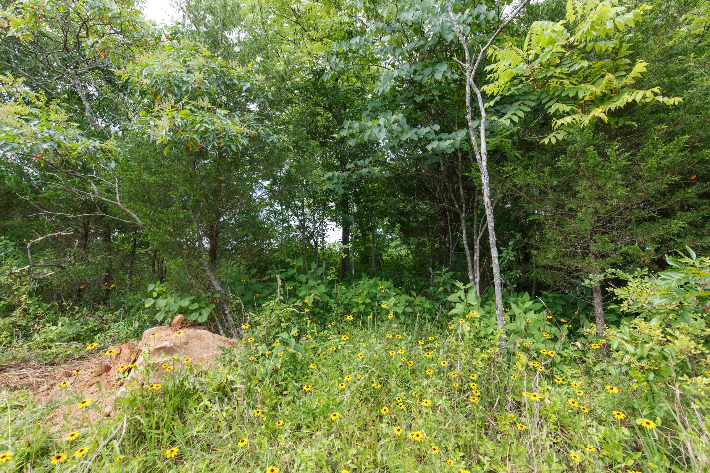 Rolling Hills Tract 25 photo 9