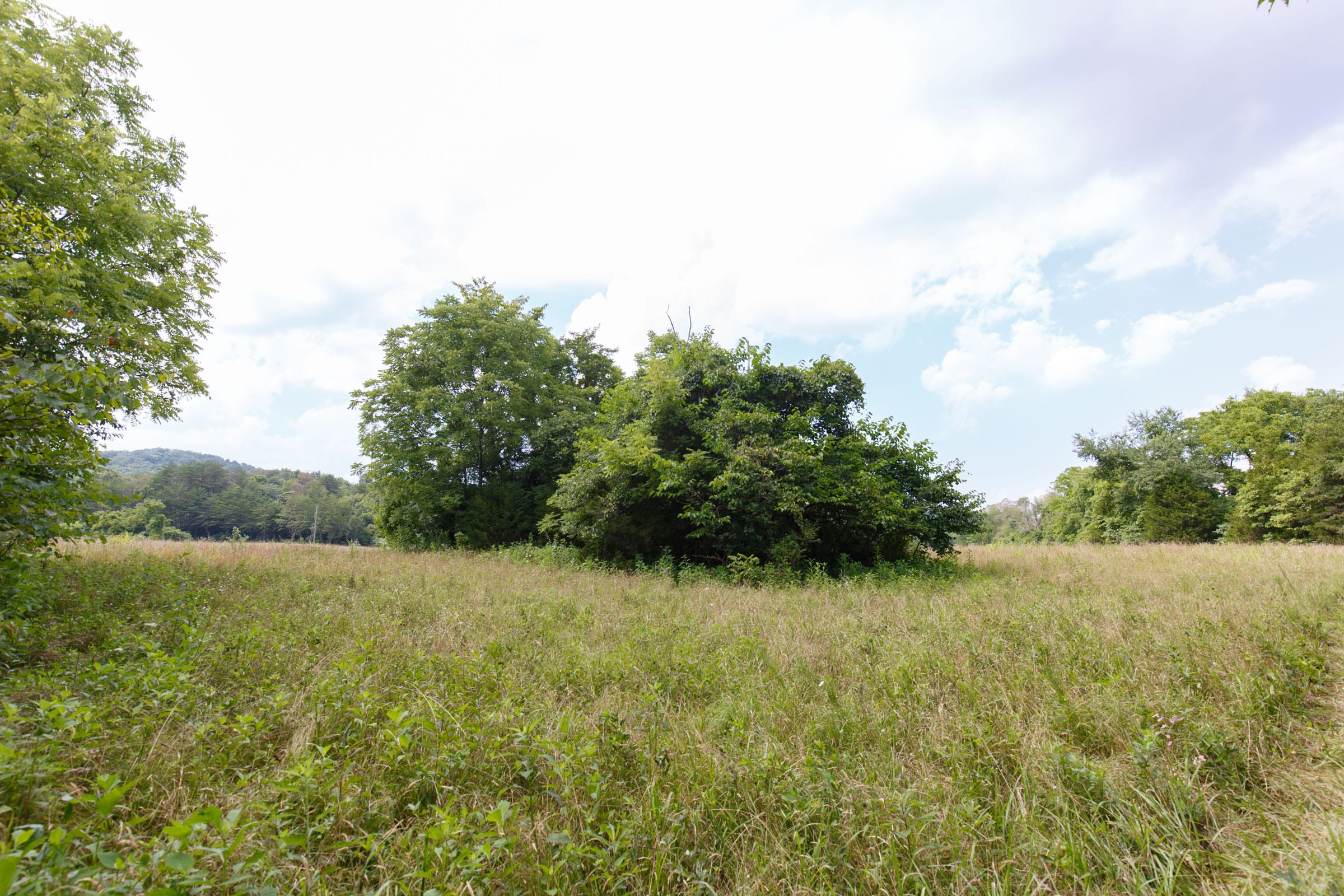 Rolling Hills Tract 25 photo 10