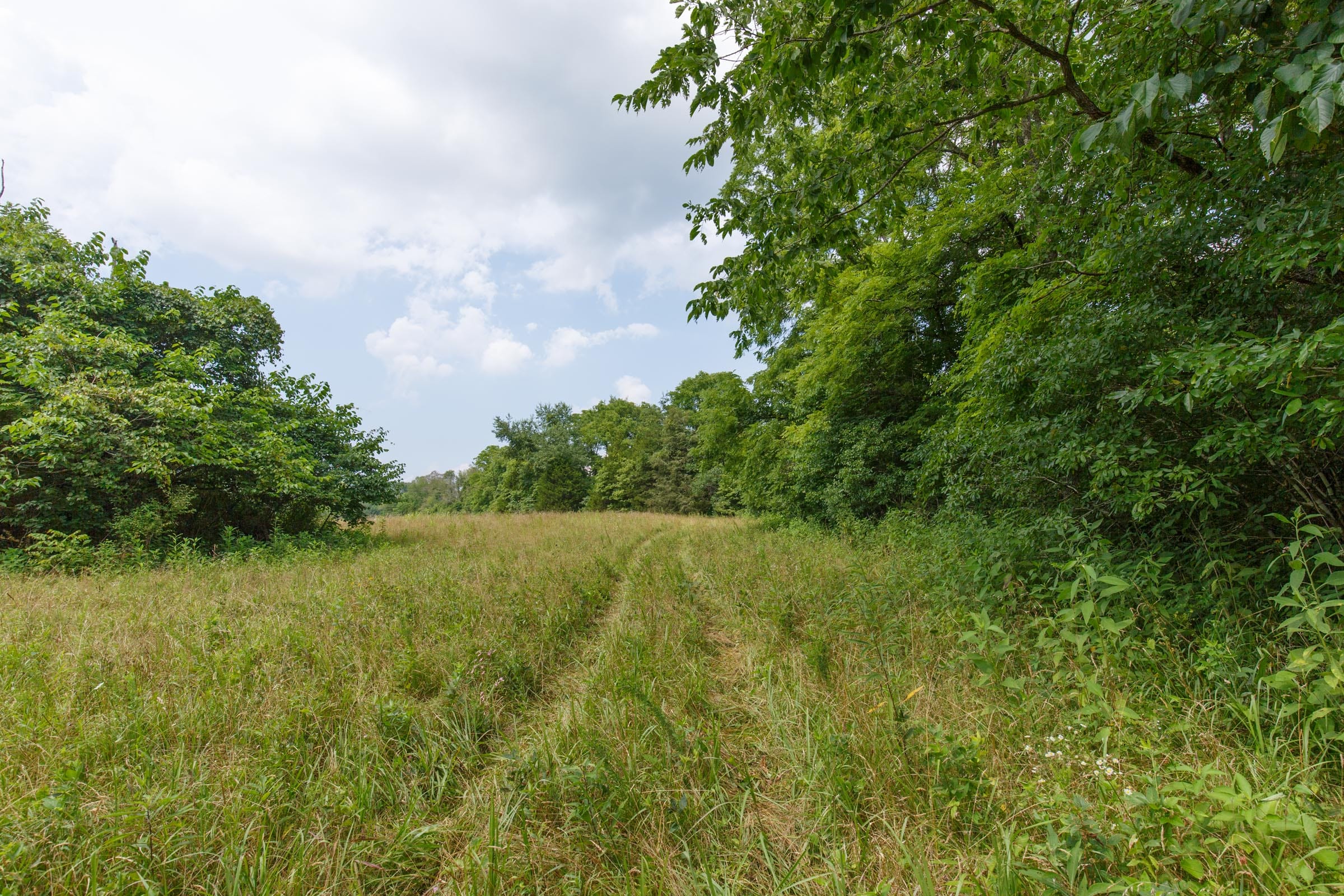 Rolling Hills Tract 25 photo 11