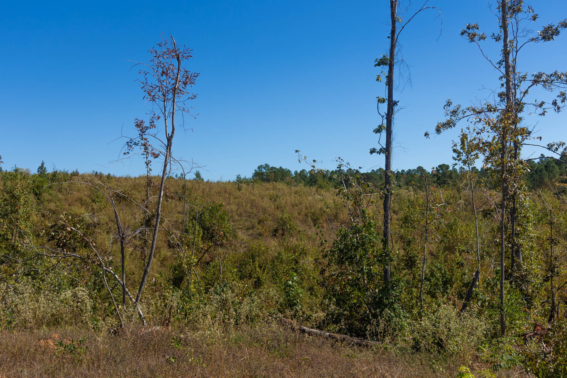 Meyer’s Ridge Tract 4 photo 8