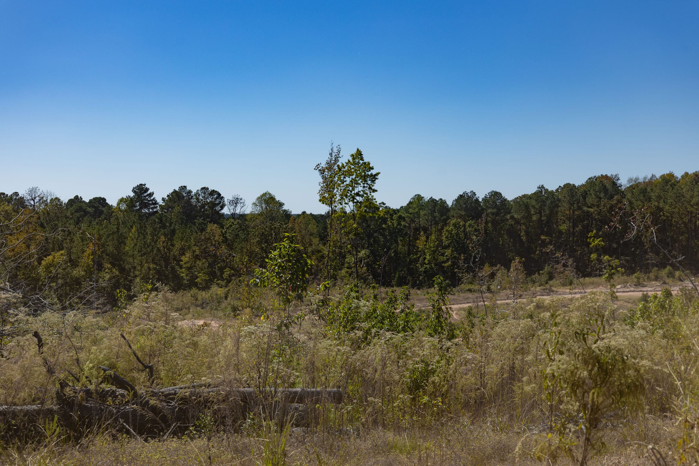 Meyer’s Ridge Tract 4 photo 7