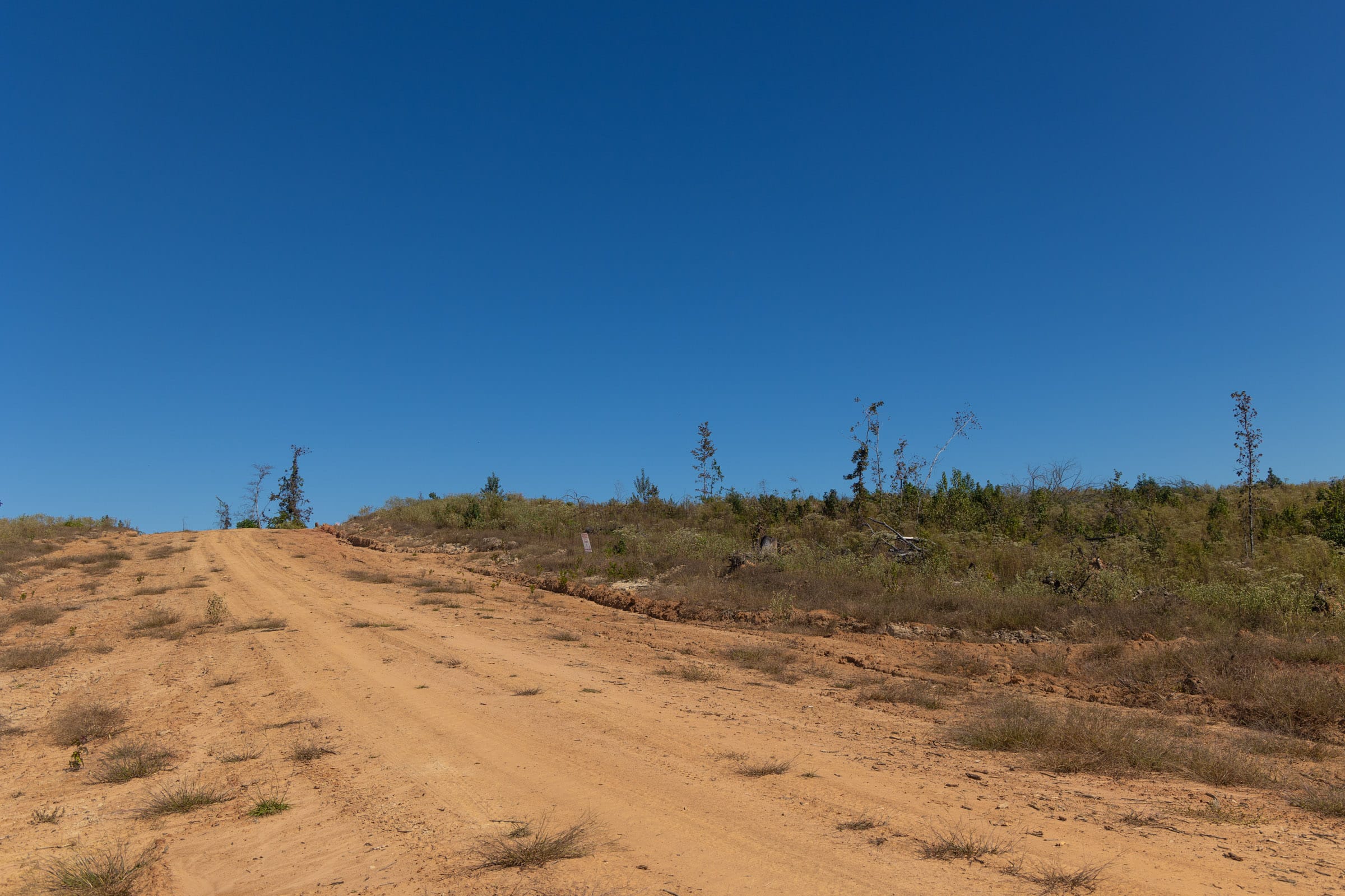 Meyer’s Ridge Tract 4 photo 6