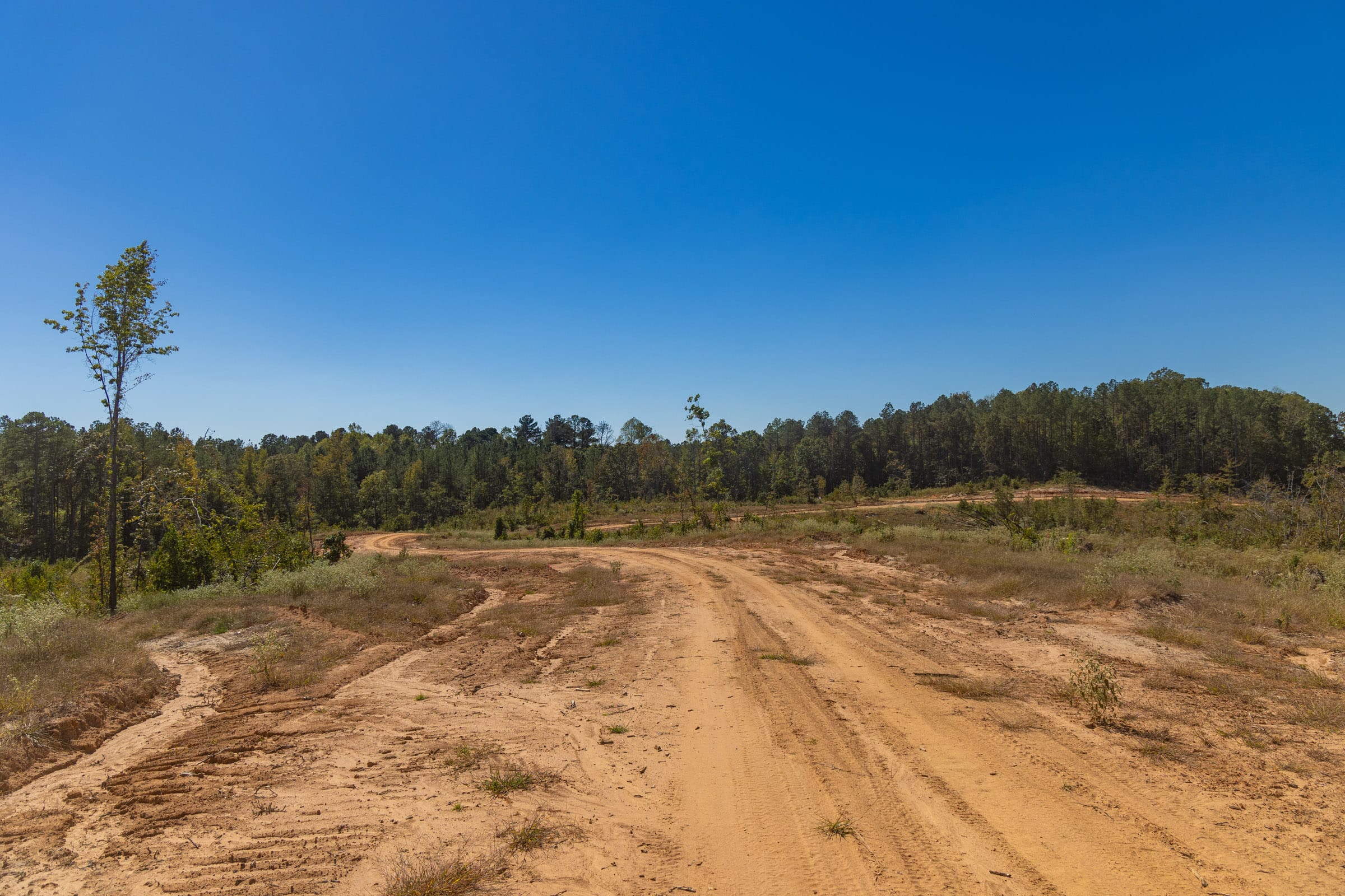 Meyer’s Ridge Tract 4 photo 3