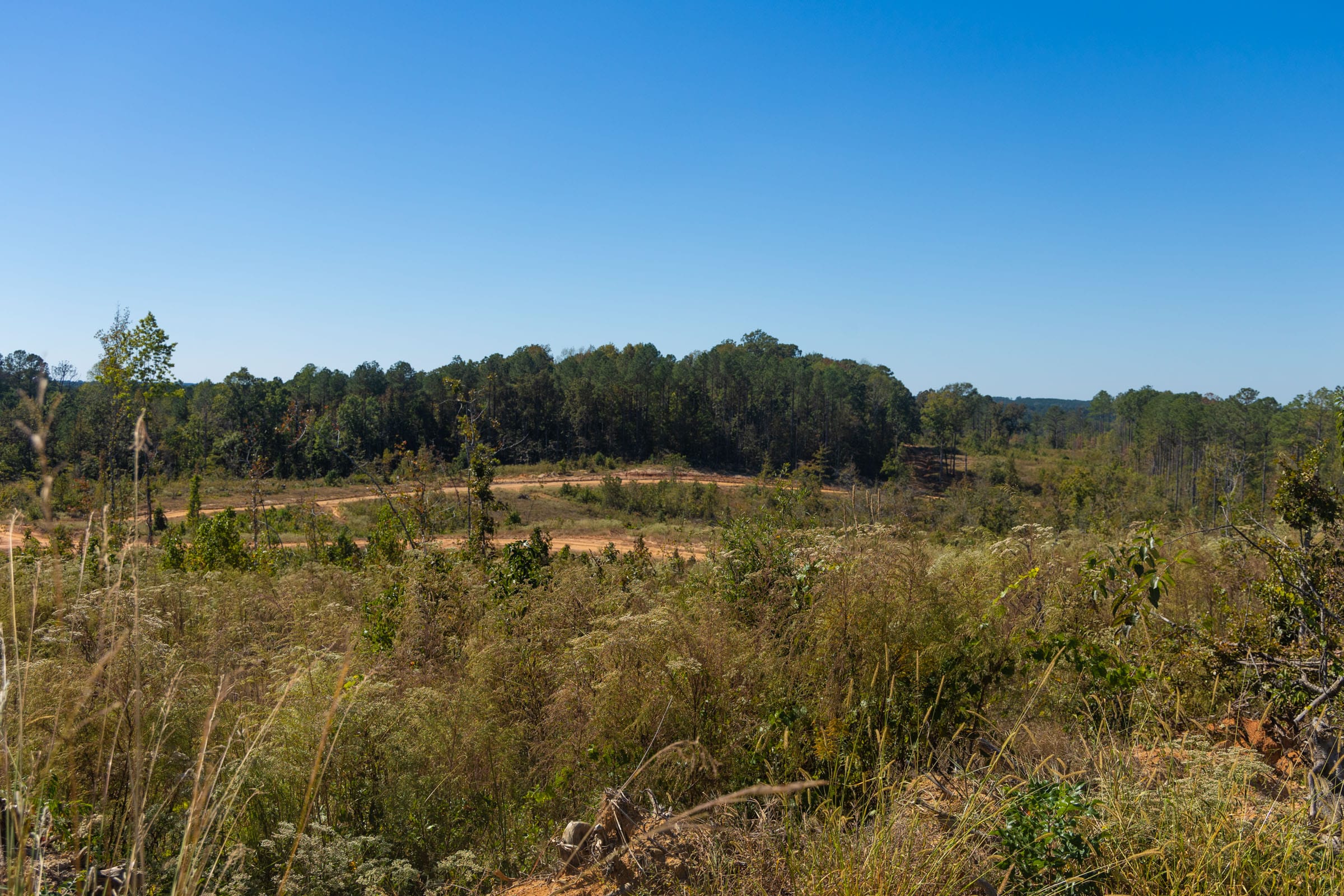 Meyer’s Ridge Tract 4 photo 4