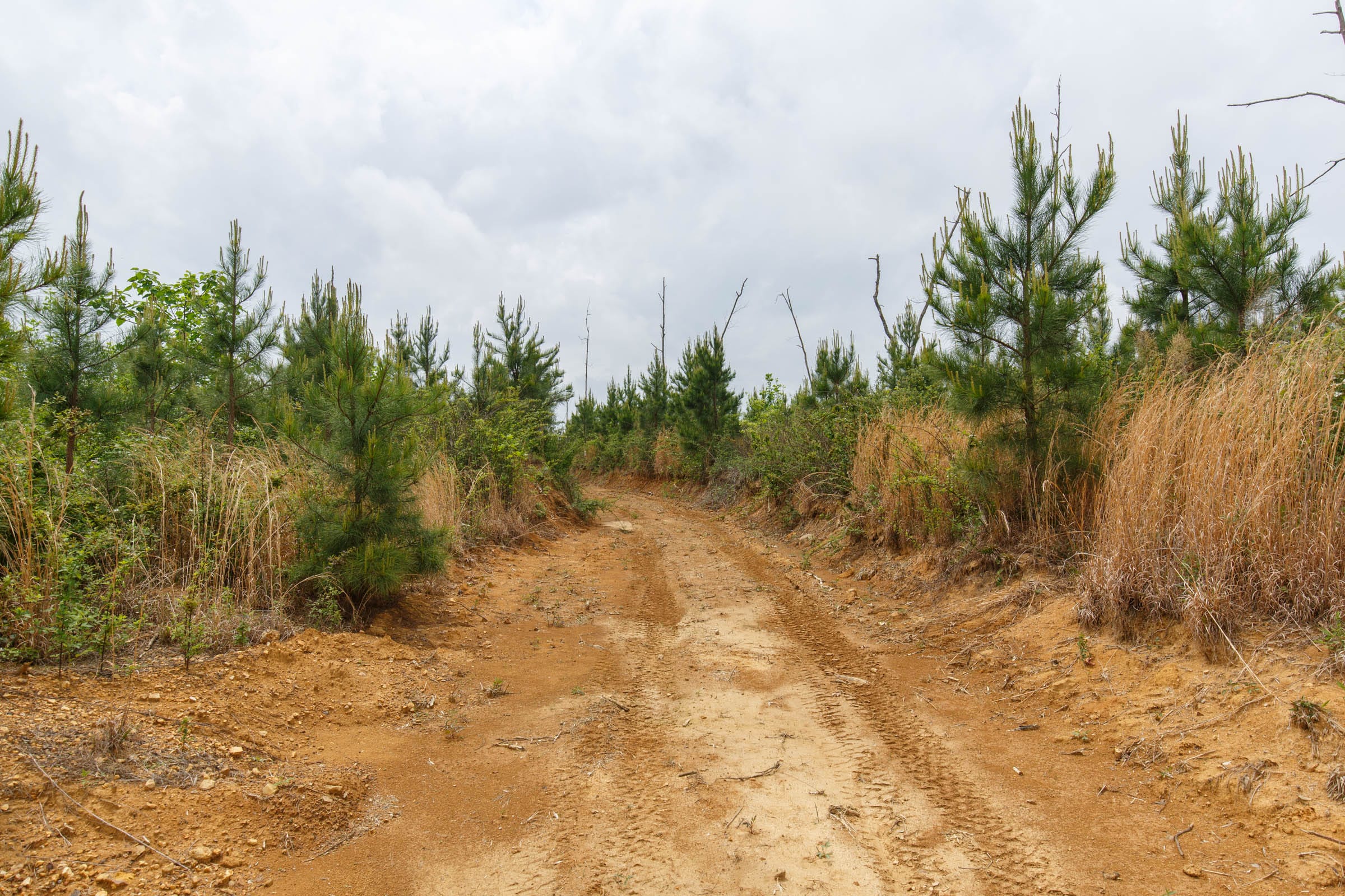 Red Barn Ranch Tract 51 photo 1