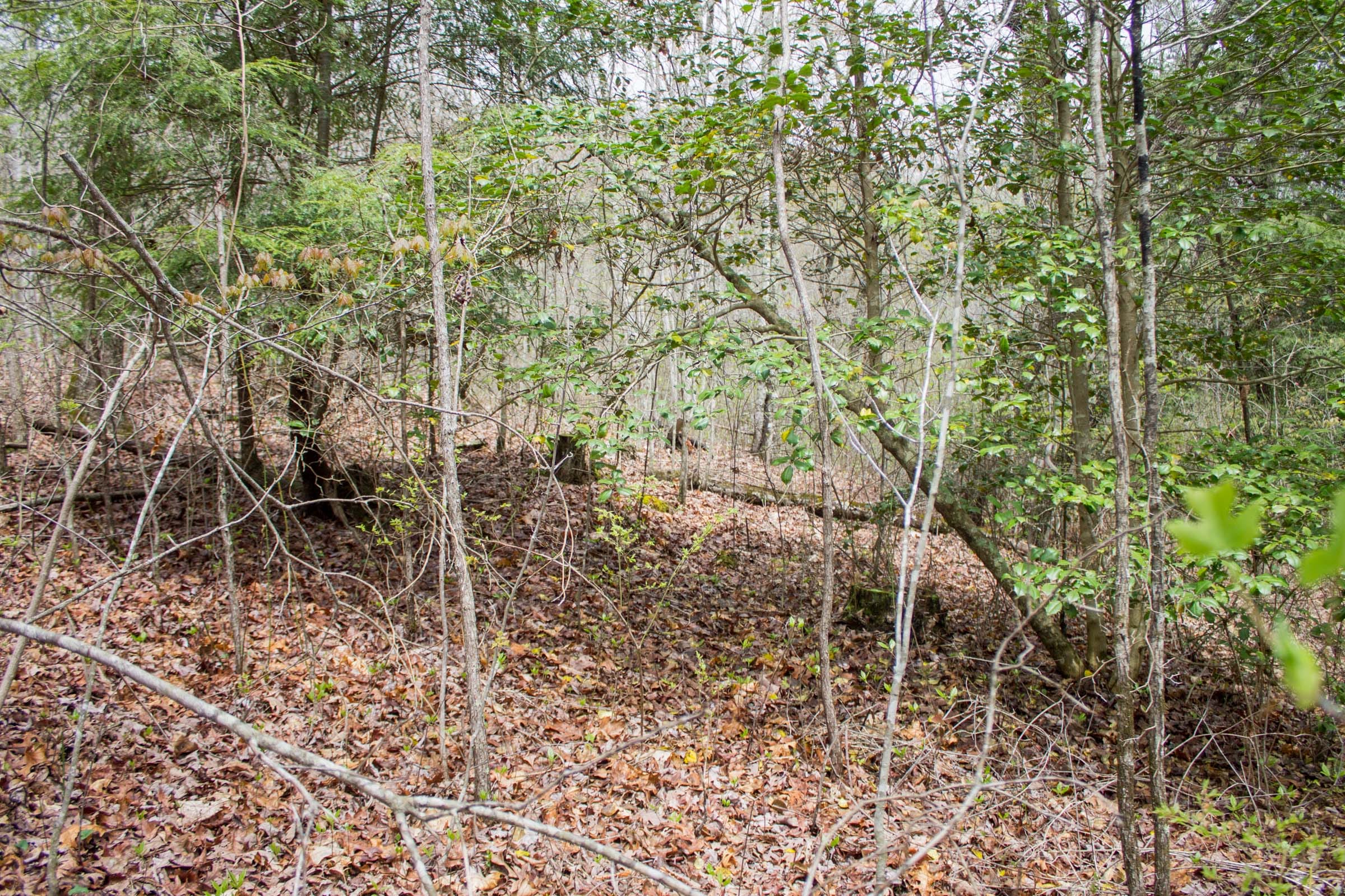 Hidden Hills Tract 52 photo 2