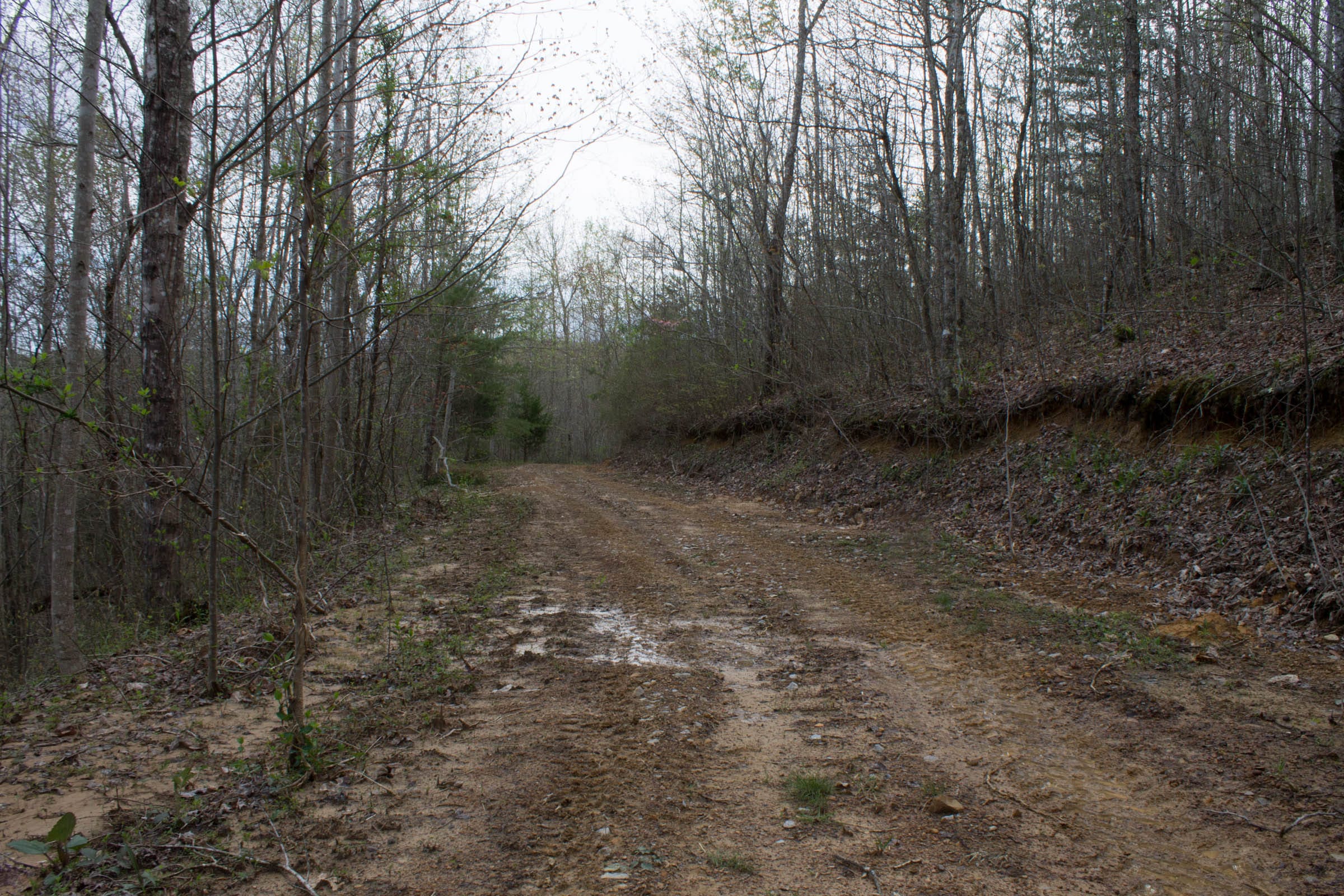 Hidden Hills Tract 52 photo 1