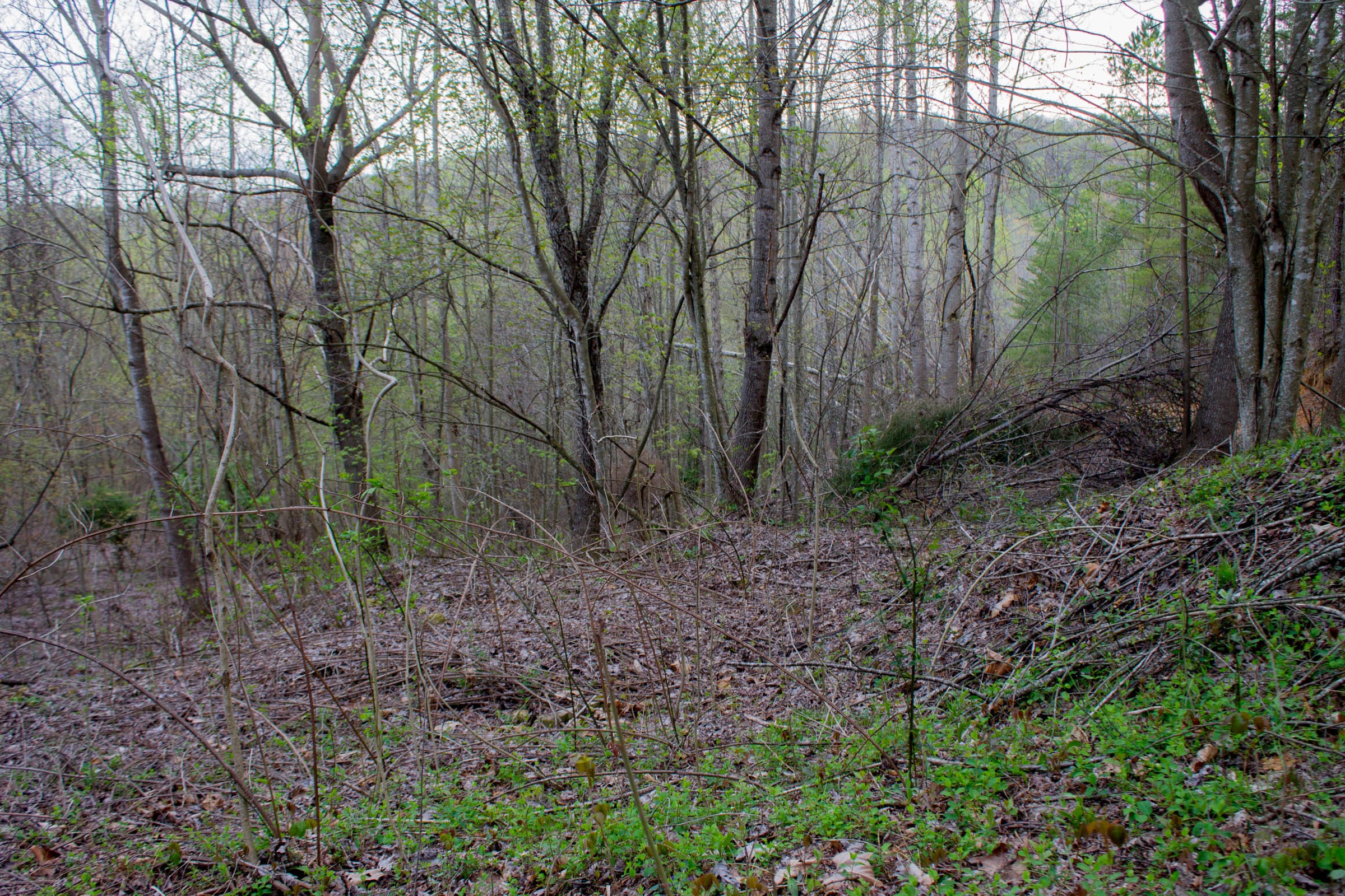 Hidden Hills Tract 52 photo 3