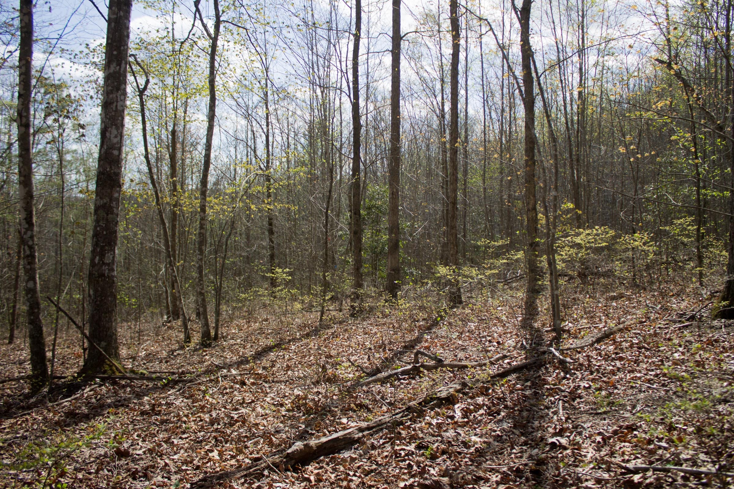 Hidden Hills Tract 52 photo 6