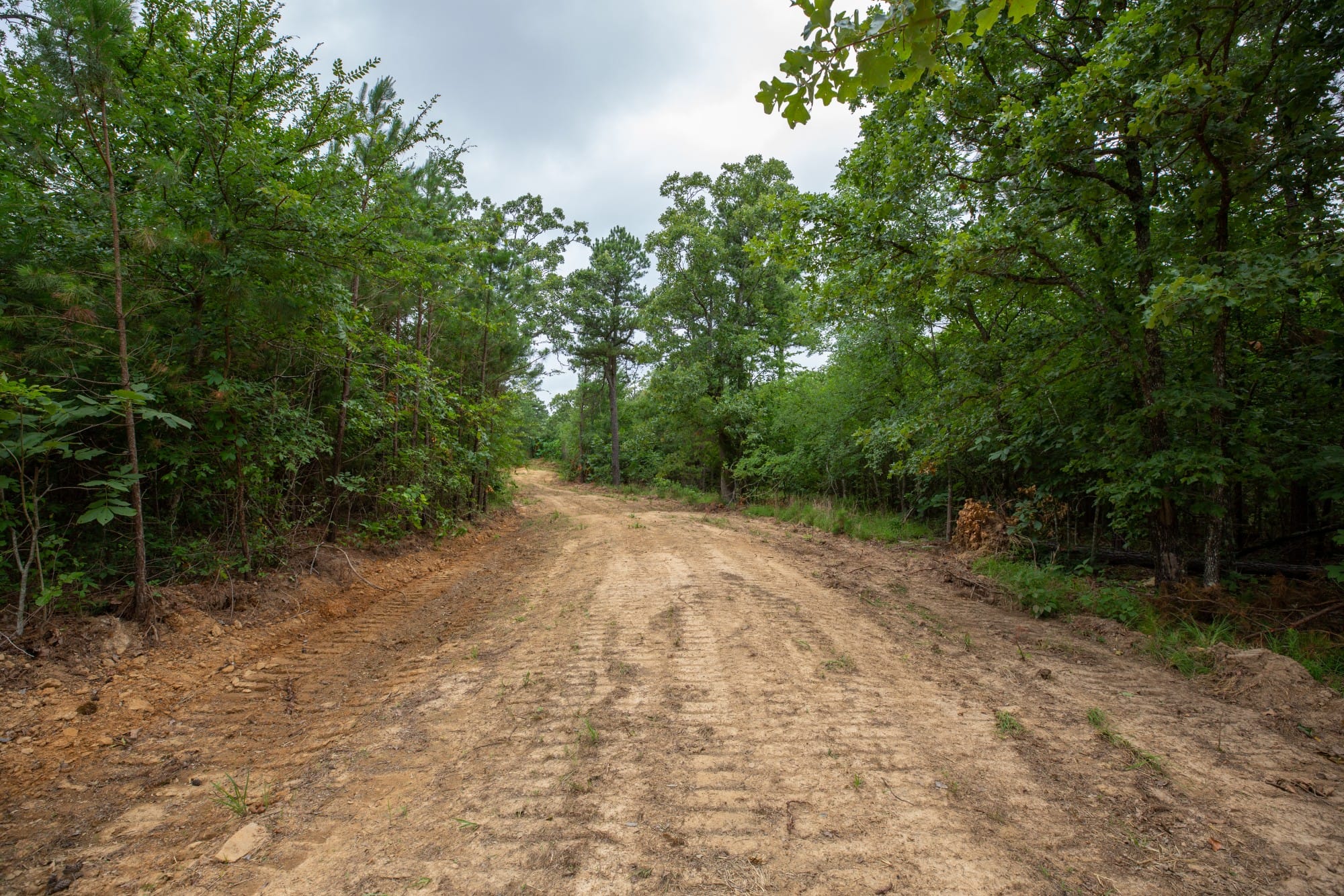 Eagle’s Nest Tract 64 photo 1