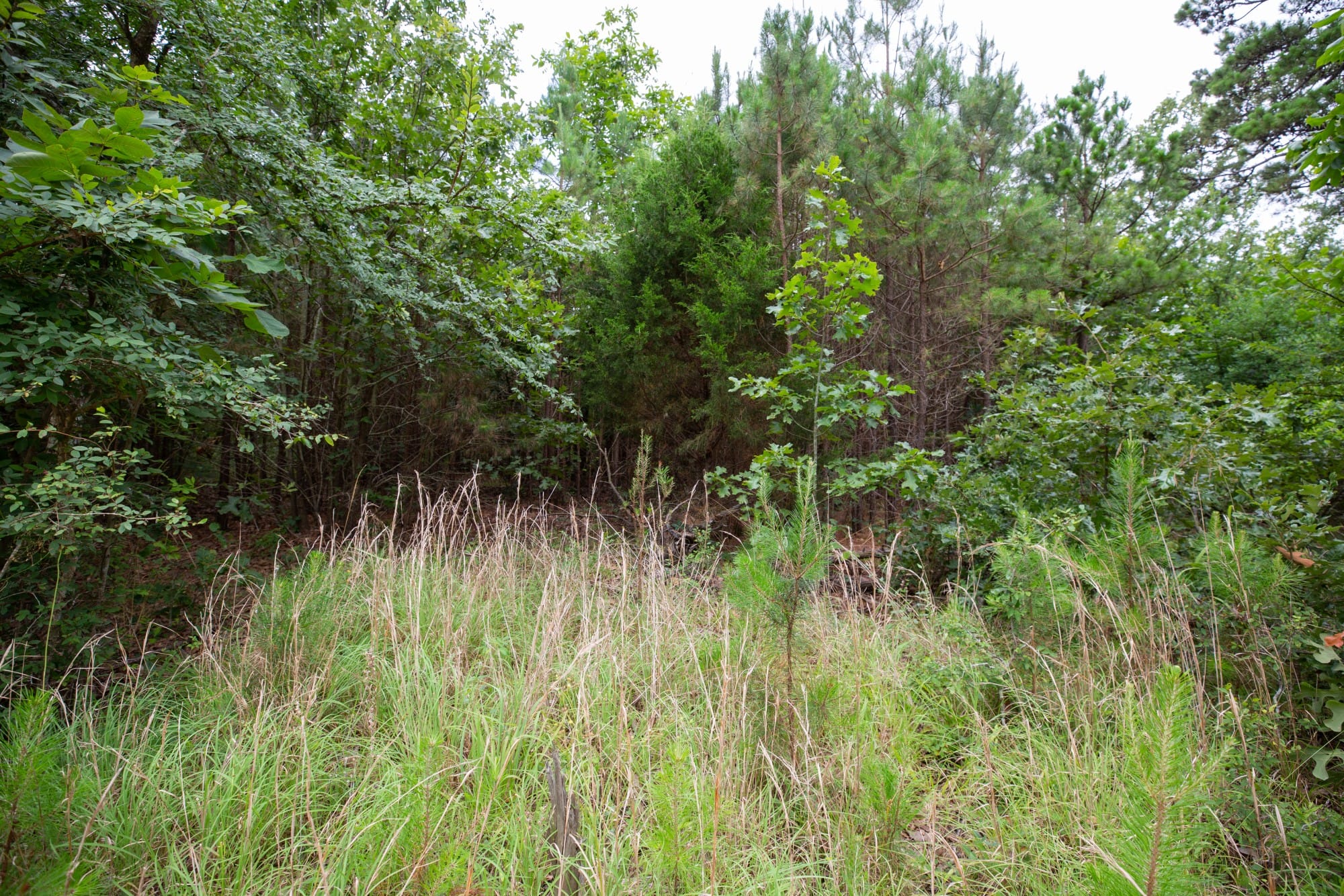 Eagle’s Nest Tract 64 photo 3