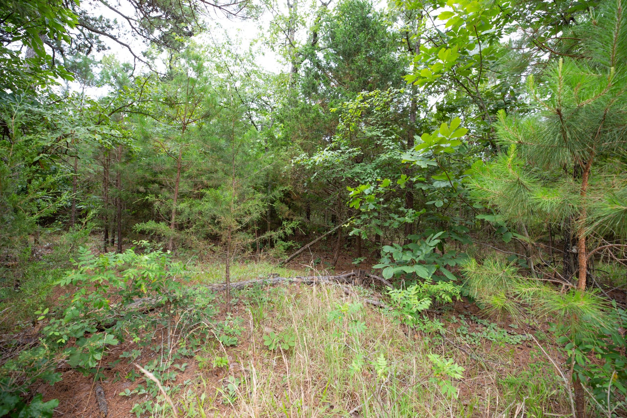 Eagle’s Nest Tract 64 photo 6