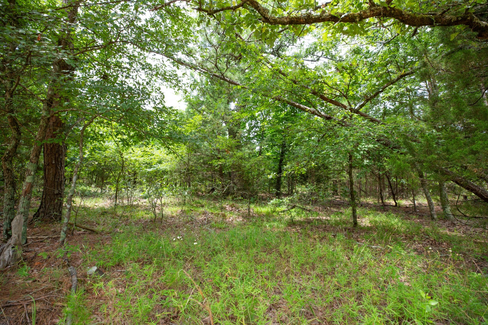 Eagle’s Nest Tract 64 photo 8