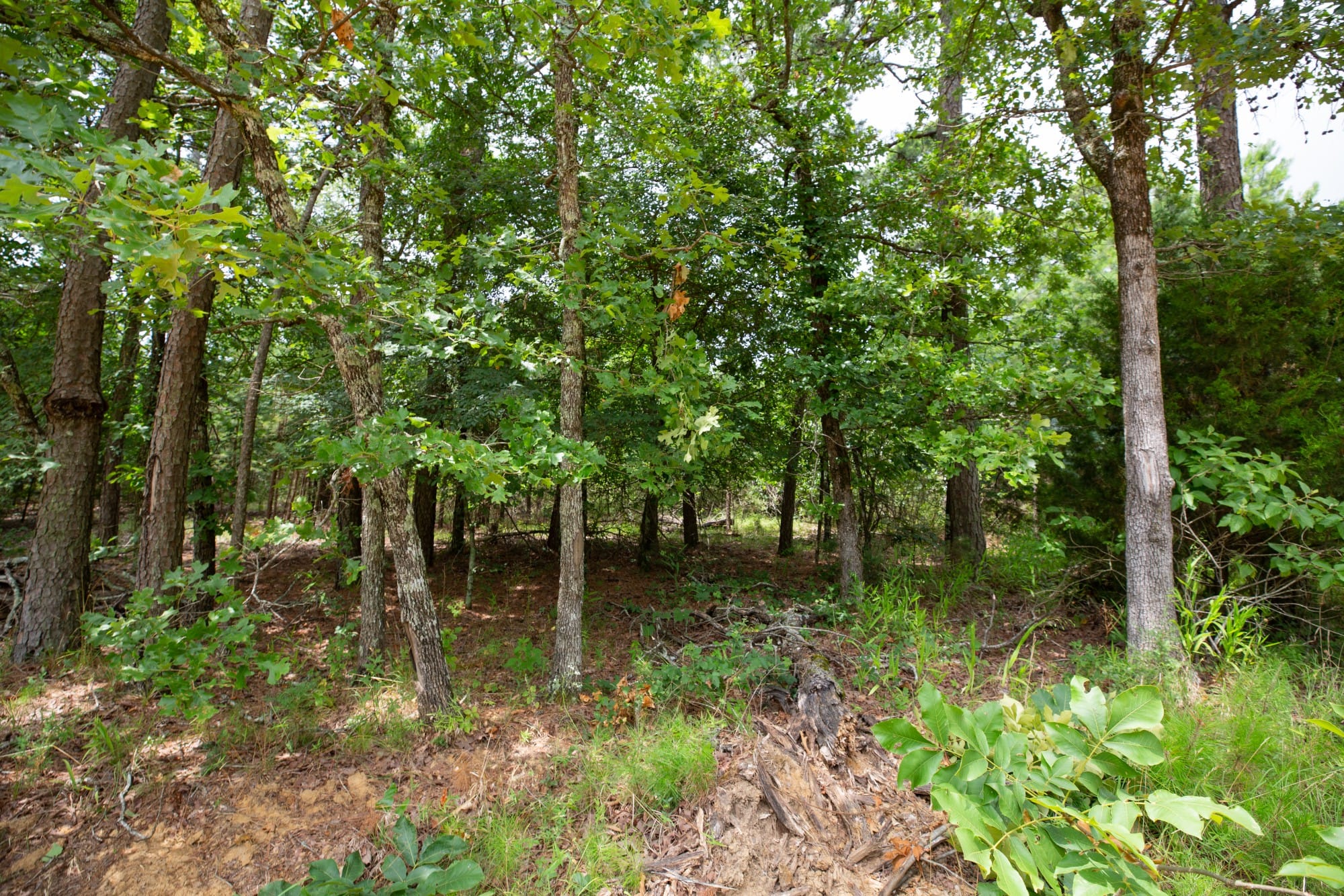 Eagle’s Nest Tract 64 photo 9