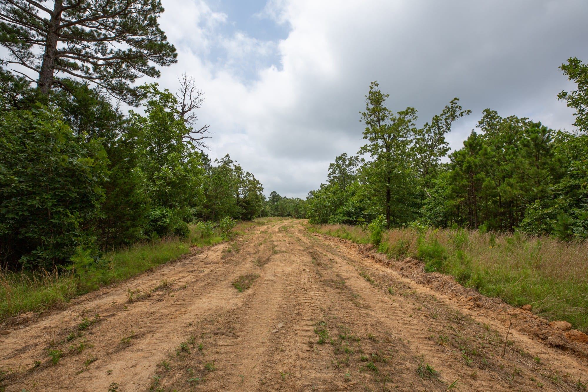 Eagle’s Nest Tract 64 photo 5