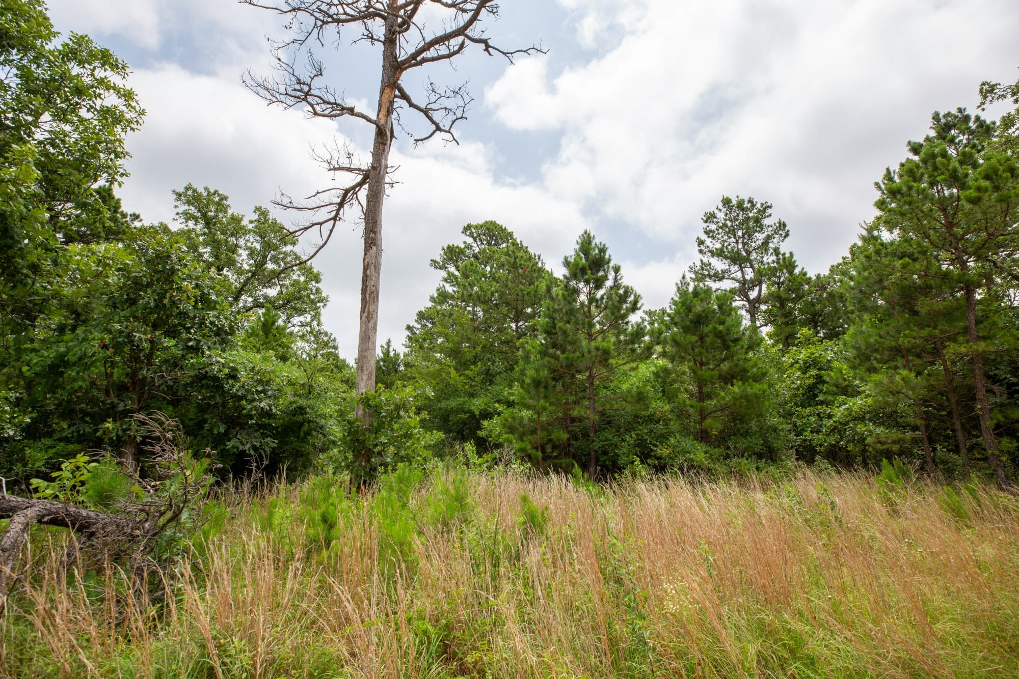 Eagle’s Nest Tract 64 photo 13