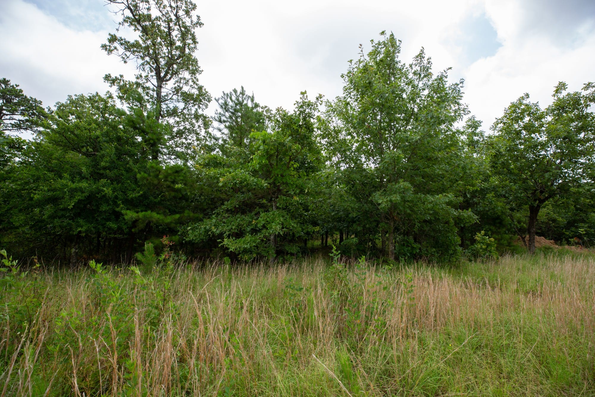 Eagle’s Nest Tract 64 photo 11