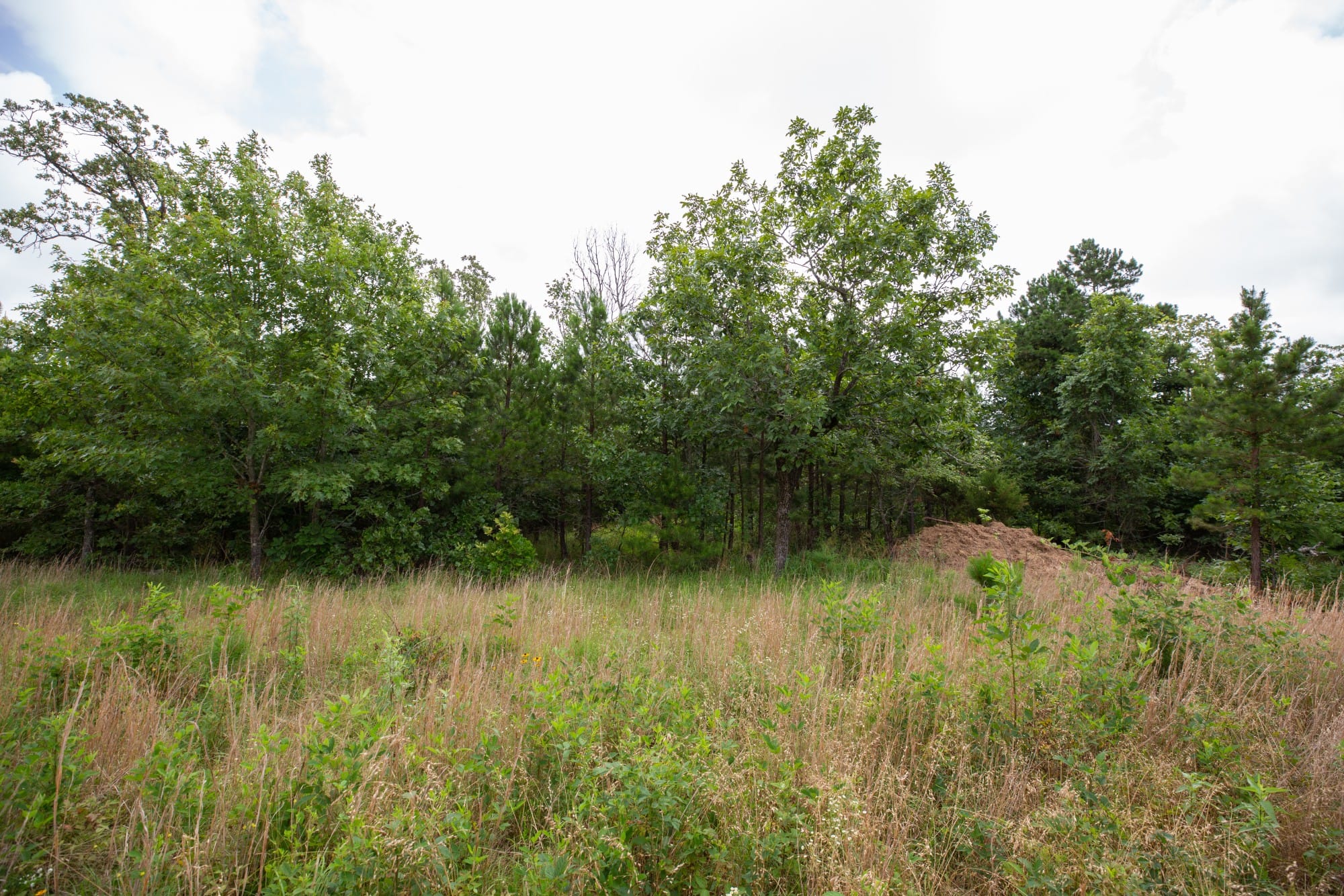 Eagle’s Nest Tract 64 photo 14