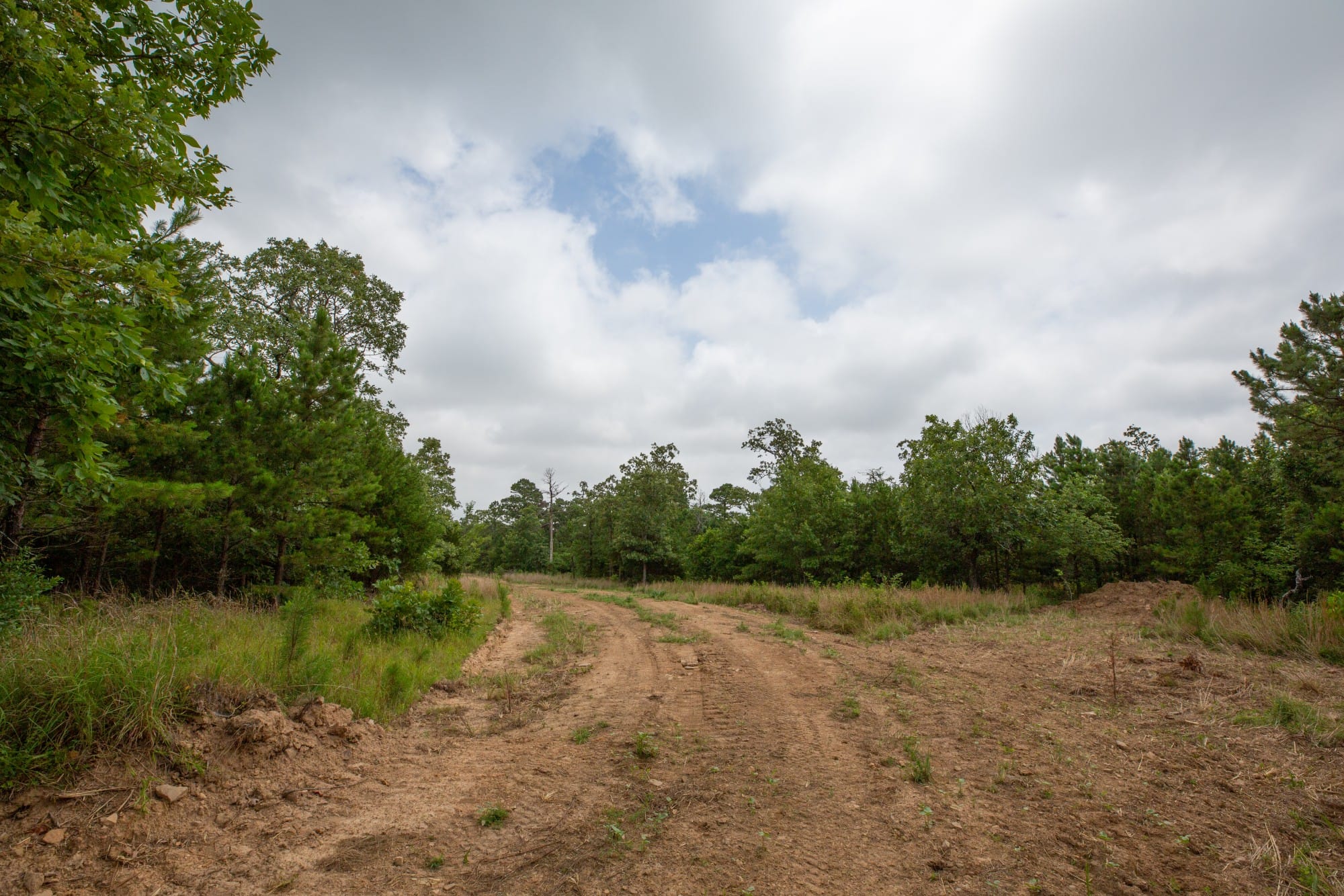 Eagle’s Nest Tract 64 photo 10