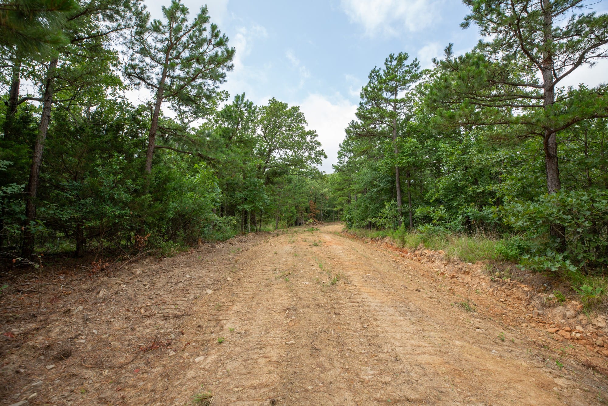 Eagle’s Nest Tract 64 photo 15