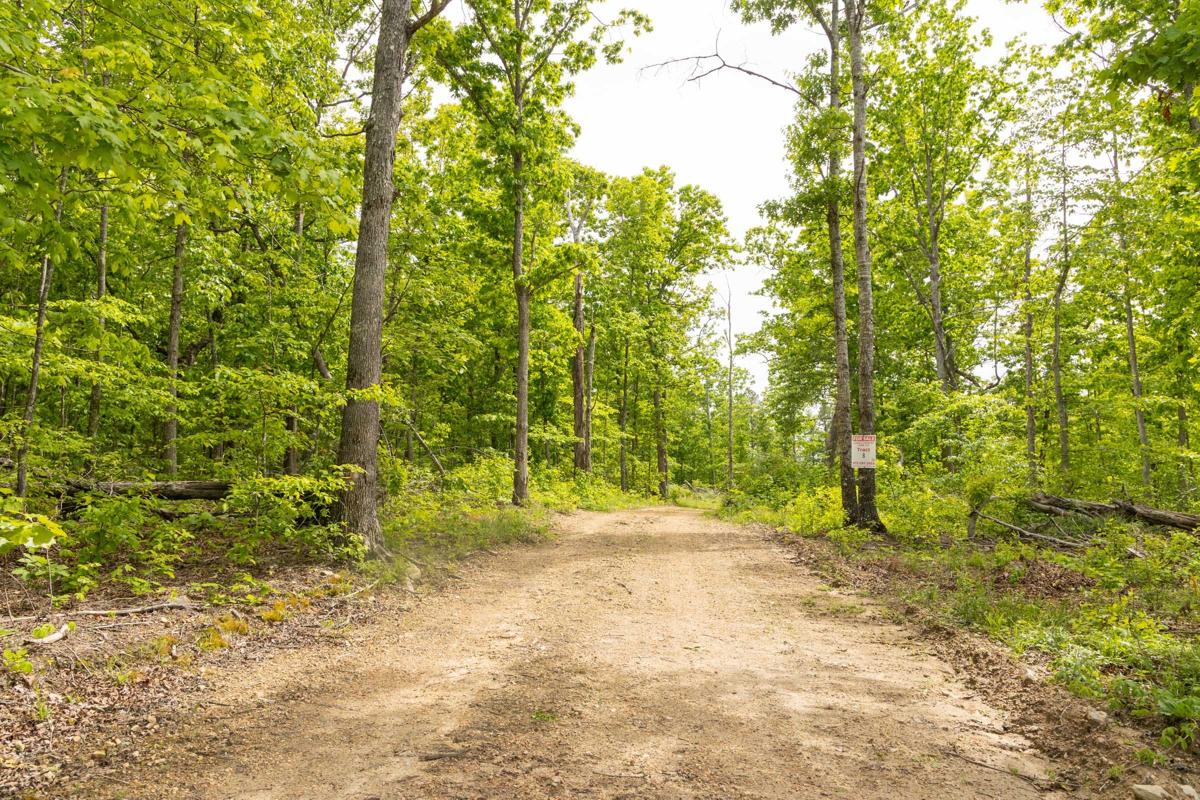 Stardust Estates Tract 8 photo 10